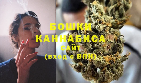 индика Наволоки