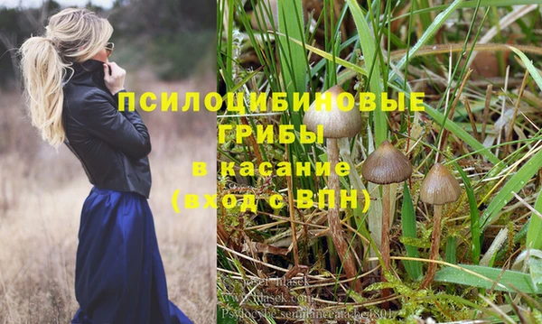 индика Наволоки